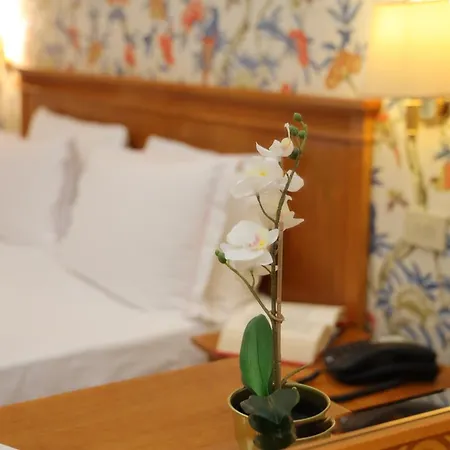 Lvg Collection - Majestic 4*