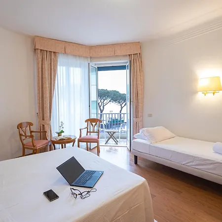 Lvg Collection - Majestic