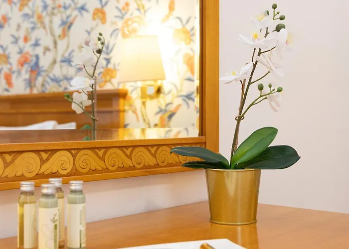 酒店 Lvg Collection - Majestic 阿拉西奥