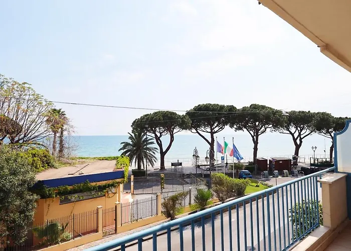 Lvg Collection - Majestic 阿拉西奥