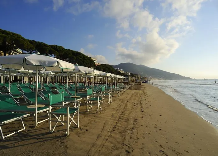 Lvg Collection - Majestic